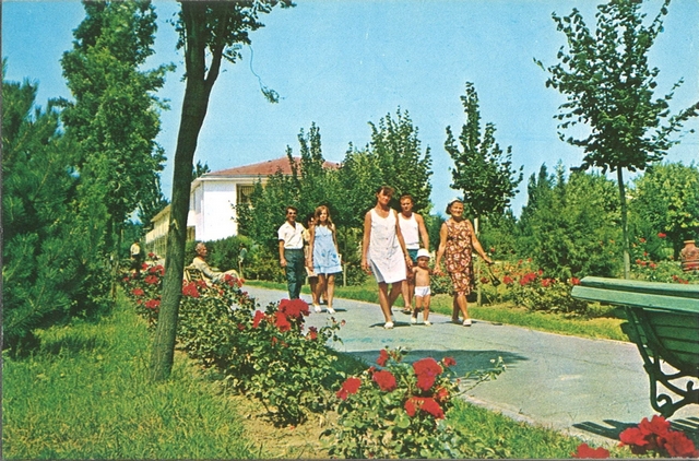 2046 - Amara. Parcul